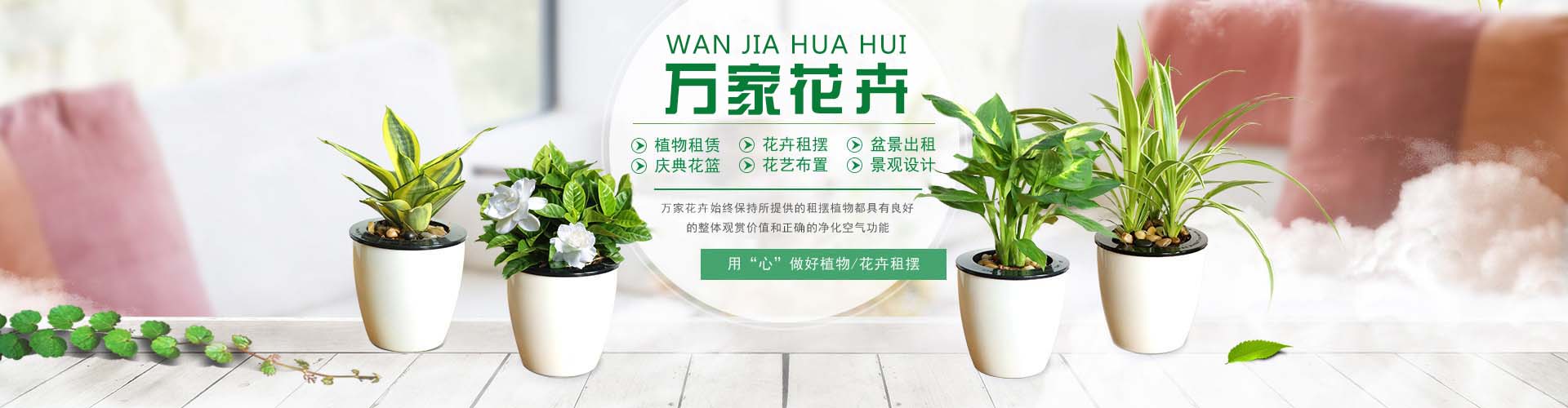 日韩精品无码一区二区