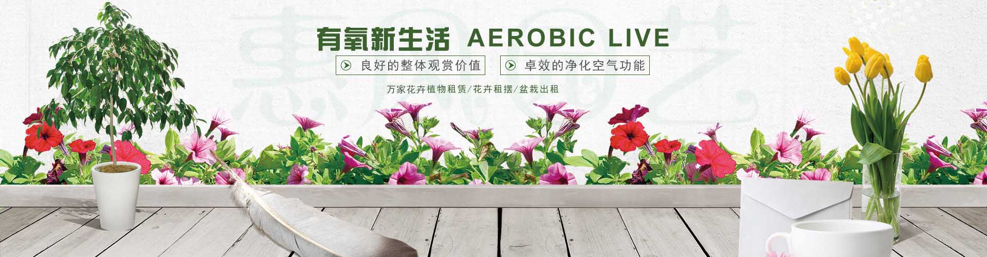 日韩精品无码一区二区